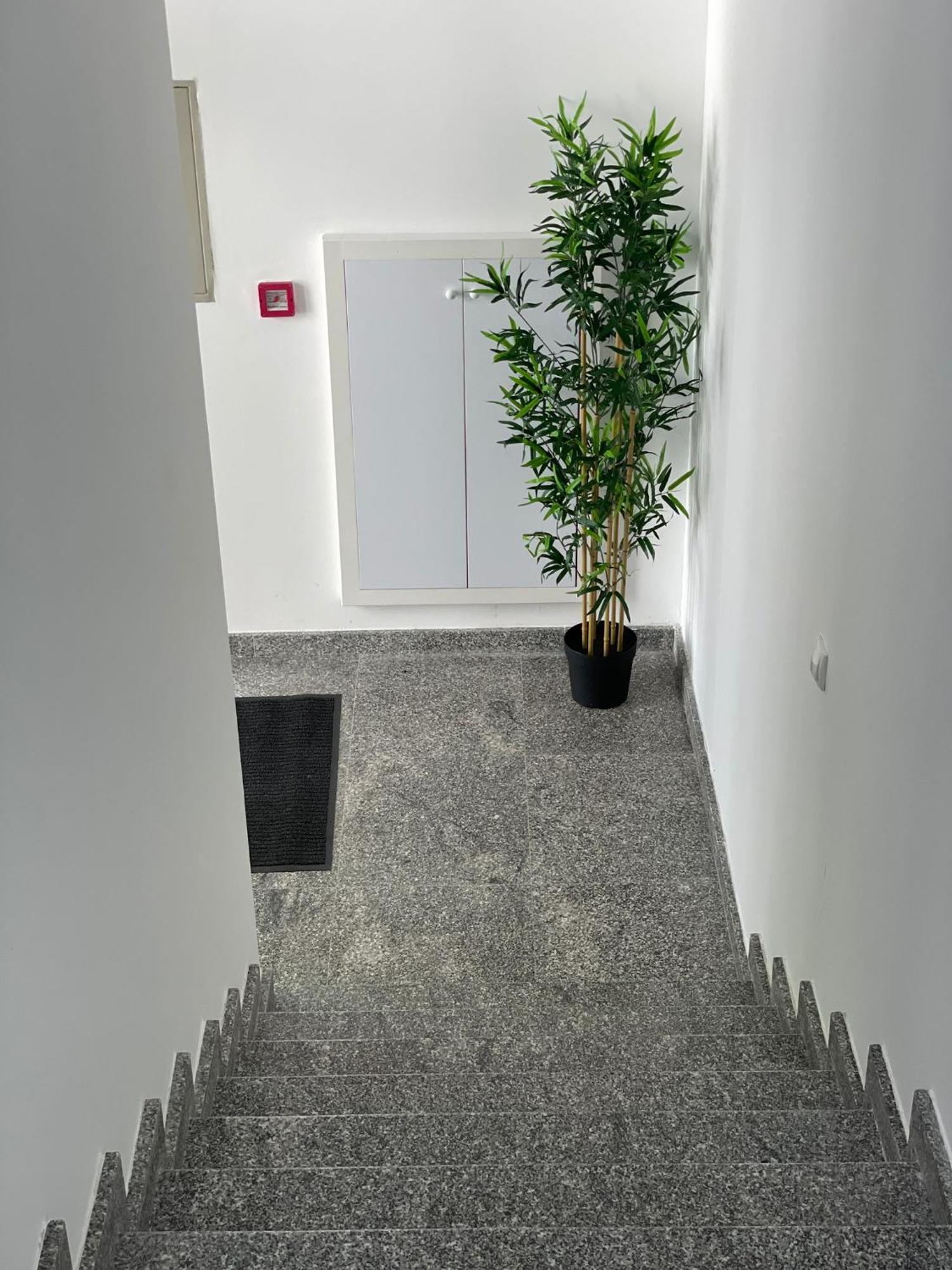 Morpheus Apartmani Sremska Mitrovica Exterior photo